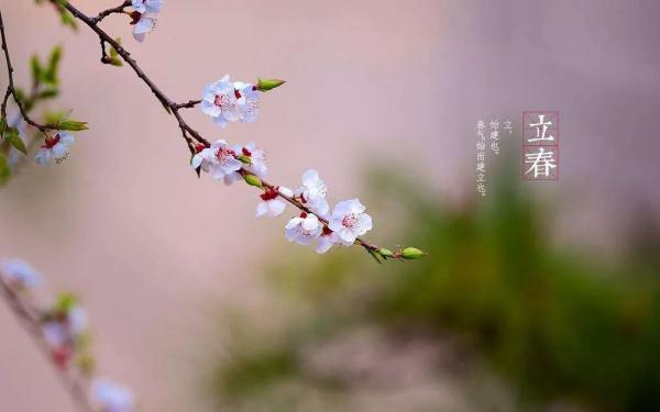 明日立春|养阳护肝:做好五件事、多吃三类菜、两个动作坚持做! 明日立春|养阳护肝:做好五件事、多吃三类菜、两个动作坚持做!