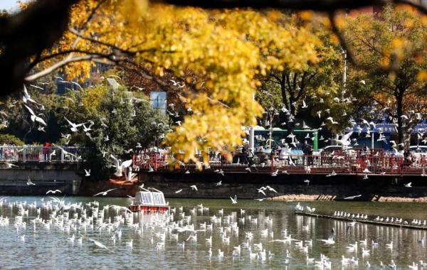 这里的人怒了!最新:当事人已被警方锁定 这里的人怒了!最新:当事人已被警方锁定