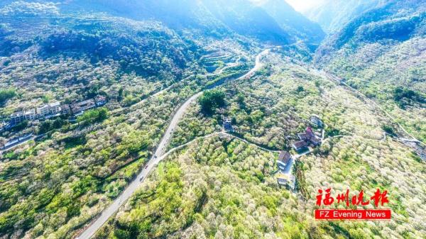 绝美!福州一大波梅花盛放!赏花地图请收好! 绝美!福州一大波梅花盛放!赏花地图请收好!