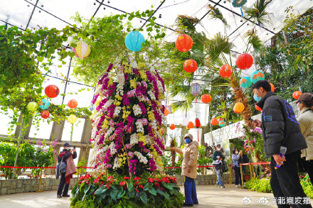 国家植物园展出一角硬币图案铝兰花真身 国家植物园展出一角硬币图案铝兰花真身