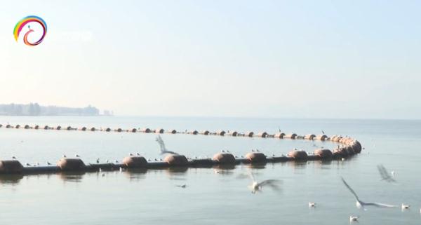 红嘴鸥少了?不,是它们的家多了! 红嘴鸥少了?不,是它们的家多了!