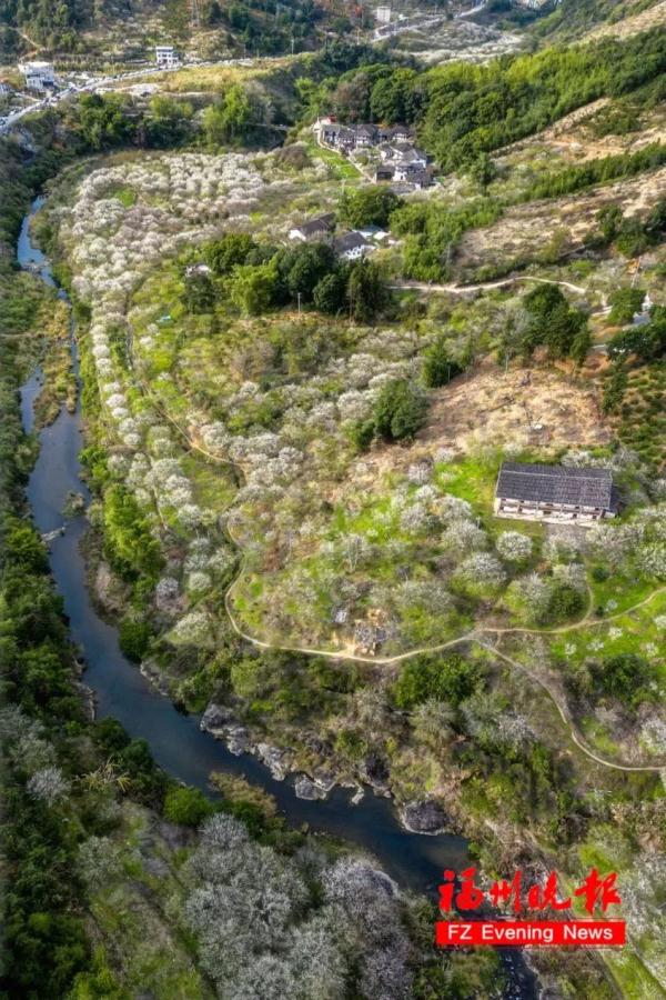 绝美!福州一大波梅花盛放!赏花地图请收好! 绝美!福州一大波梅花盛放!赏花地图请收好!