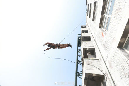 晒图！武警特战队员攀登训练