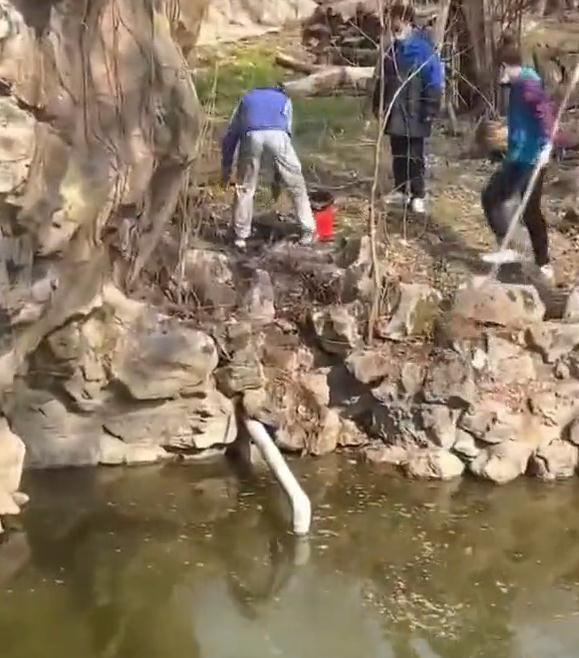 尸体浮出水面,死因公布!就在一个月前…… 尸体浮出水面,死因公布!就在一个月前……