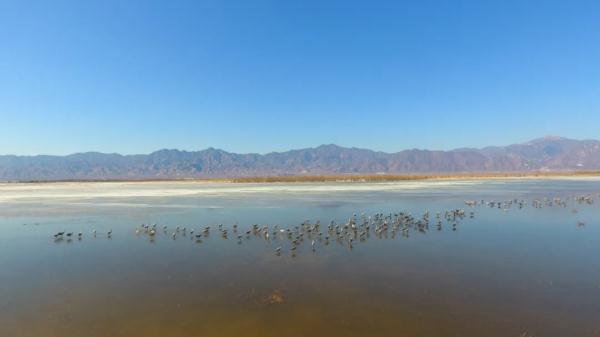 我国新增国际重要湿地18处！跟随镜头一同领略中国湿地之美