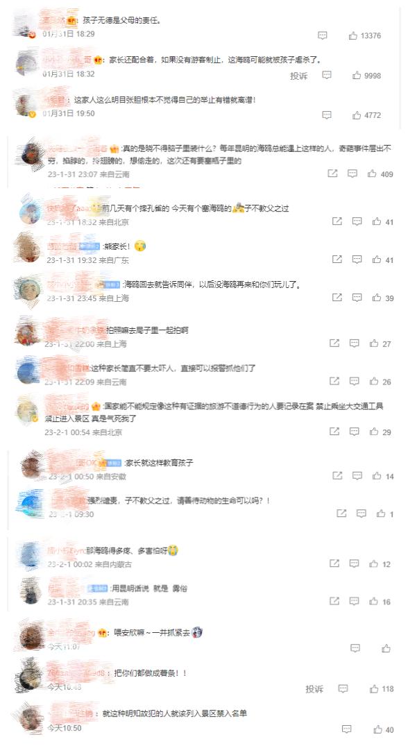 家长带“熊孩子”抓海鸥塞进罐子，昆明警方锁定当事人