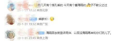 这里的人怒了!最新:当事人已被警方锁定 这里的人怒了!最新:当事人已被警方锁定