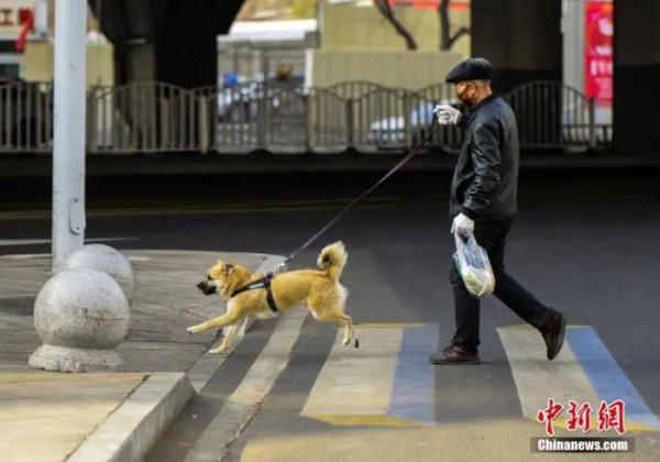 这地明确,弃宠重罚! 这地明确,弃宠重罚!