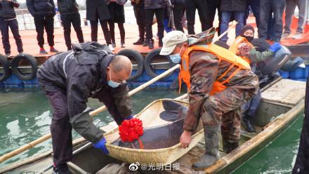 济宁太白湖鱼王拍出58.8万