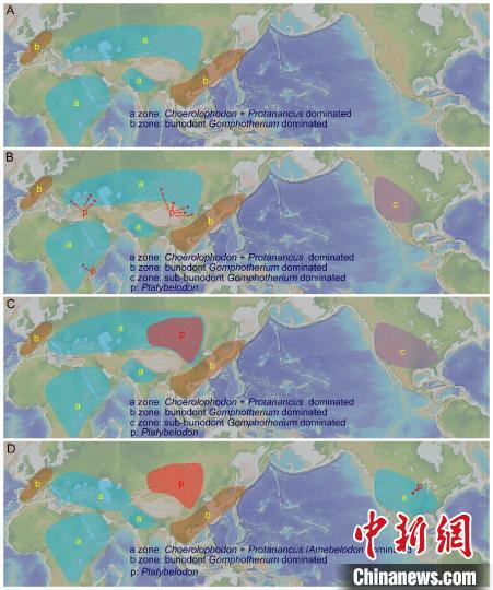 最新研究：1600万年前中国北方与南亚和非洲嵌齿象类直接交流
