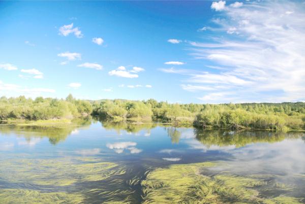 我国新增国际重要湿地18处！跟随镜头一同领略中国湿地之美