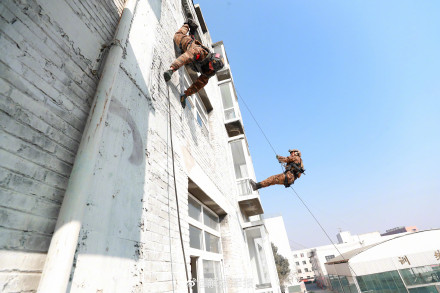 晒图！武警特战队员攀登训练