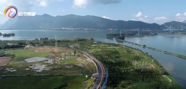 红嘴鸥少了?不,是它们的家多了! 红嘴鸥少了?不,是它们的家多了!