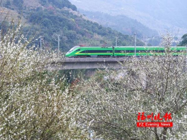 绝美!福州一大波梅花盛放!赏花地图请收好! 绝美!福州一大波梅花盛放!赏花地图请收好!