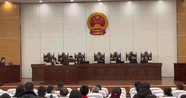 全国首例，非法放生！法院判了