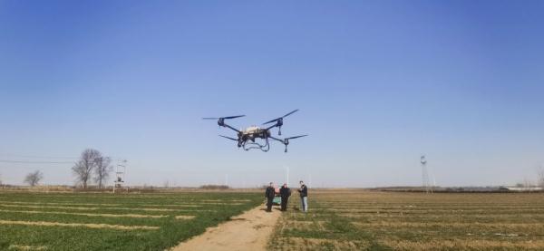 河北：科技助力小麦春季田间管理增添丰收底气