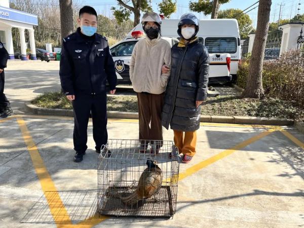 居民家中飞来野山鸡