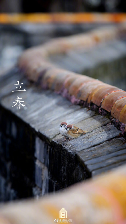 收藏！故宫的立春壁纸