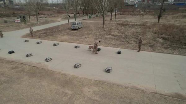 “训犬不是遛狗”，16年20万字笔记，二等功！