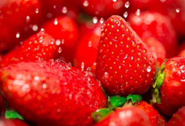 今日立春 | 你不知道的养生秘诀！