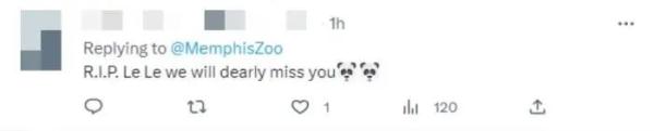 “乐乐”在美离世，目前死因不明