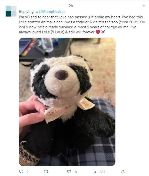 “乐乐”在美离世，目前死因不明
