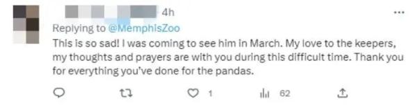 “乐乐”在美离世，目前死因不明