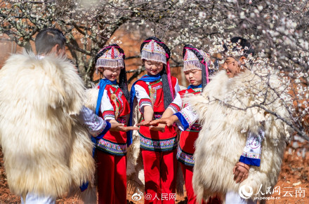 梦幻！去有风的地方取景地绽放万亩花海