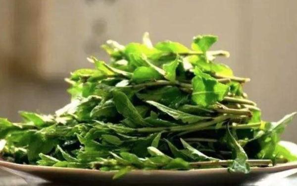 今日立春 | 你不知道的养生秘诀！