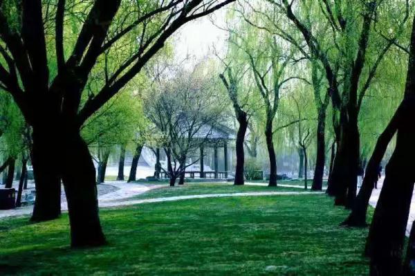 今日立春 | 有关立春的这些知识、诗句，快说给孩子听