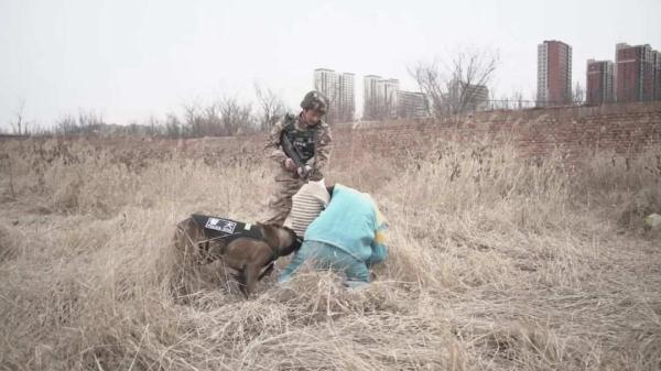 “训犬不是遛狗”，16年20万字笔记，二等功！