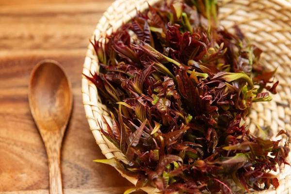 今日立春 | 你不知道的养生秘诀！