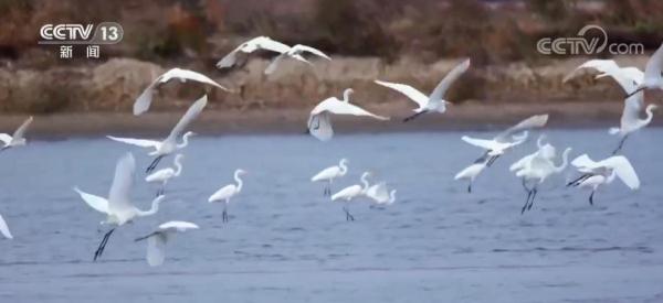 各地生态环境质量提升 重大环境基础治理设施工程稳步推进 各地生态环境质量提升 重大环境基础治理设施工程稳步推进