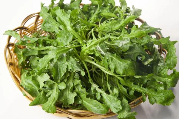 今日立春 | 你不知道的养生秘诀！