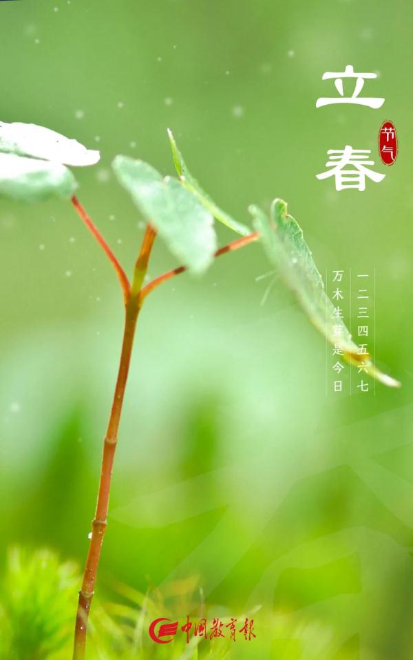 今日立春 | 有关立春的这些知识、诗句，快说给孩子听