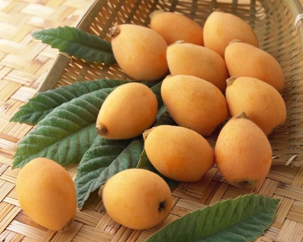 今日立春 | 你不知道的养生秘诀！