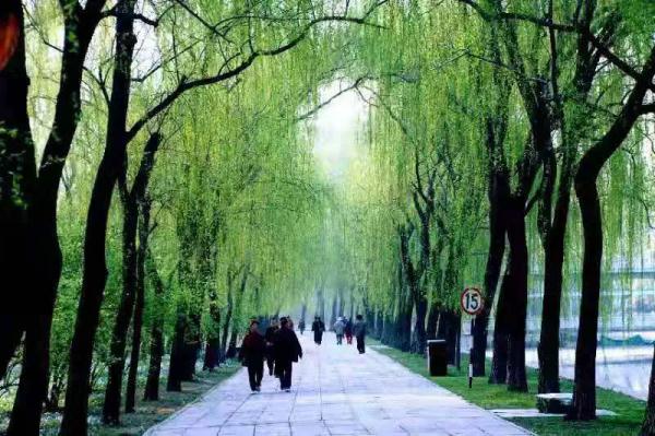 今日立春 | 有关立春的这些知识、诗句，快说给孩子听