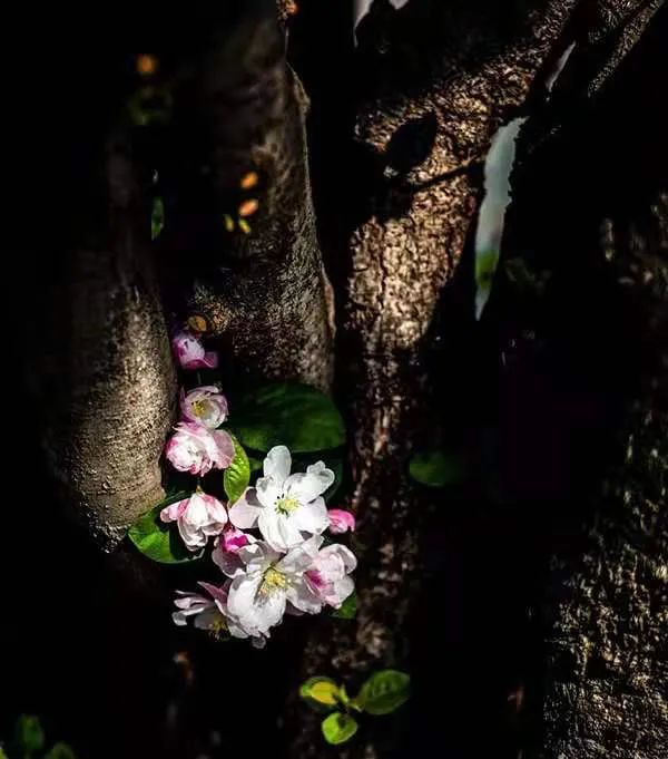 今日立春 | 有关立春的这些知识、诗句，快说给孩子听