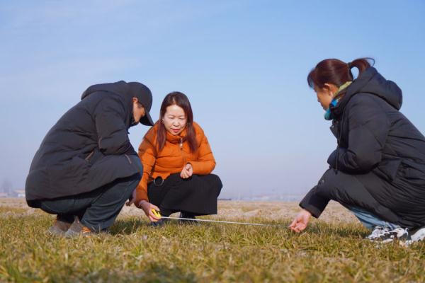 河北：科技助力小麦春季田间管理增添丰收底气