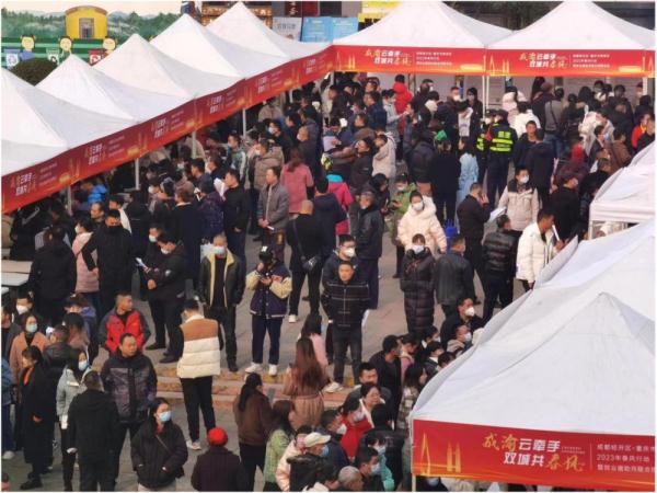 成渝云牵手 双城共“春风”——成都经开区联动重庆南岸区开展招聘活动