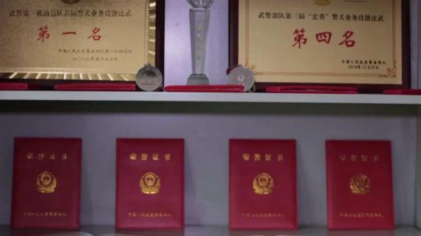 “训犬不是遛狗”，16年20万字笔记，二等功！