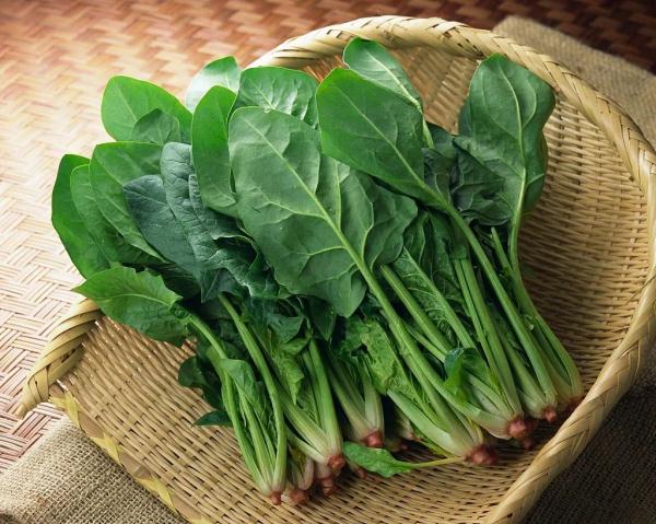 今日立春 | 你不知道的养生秘诀！