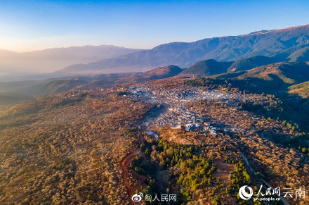 梦幻！去有风的地方取景地绽放万亩花海