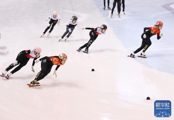 短道速滑 | 世界杯德国德累斯顿站进行首日角逐