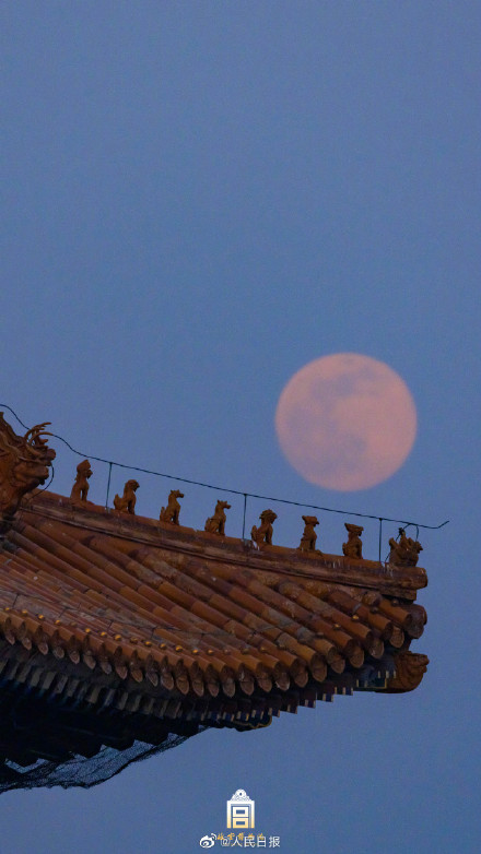 收藏美图！故宫兔年元宵月