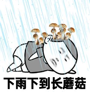 记得带伞！镇江未来一周阴雨持续！网友：为啥一开学就下雨？