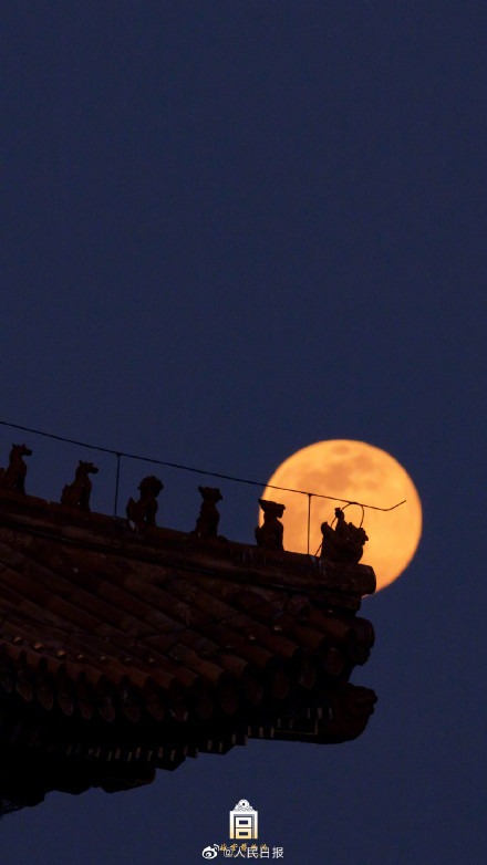 收藏美图！故宫兔年元宵月