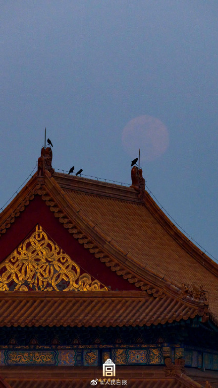 收藏美图！故宫兔年元宵月