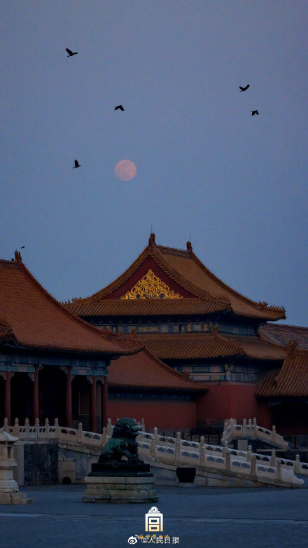 收藏美图！故宫兔年元宵月