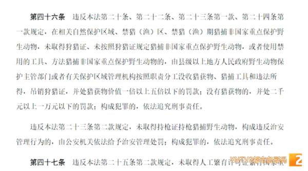 家长带“熊孩子”抓海鸥 官方最新通报！